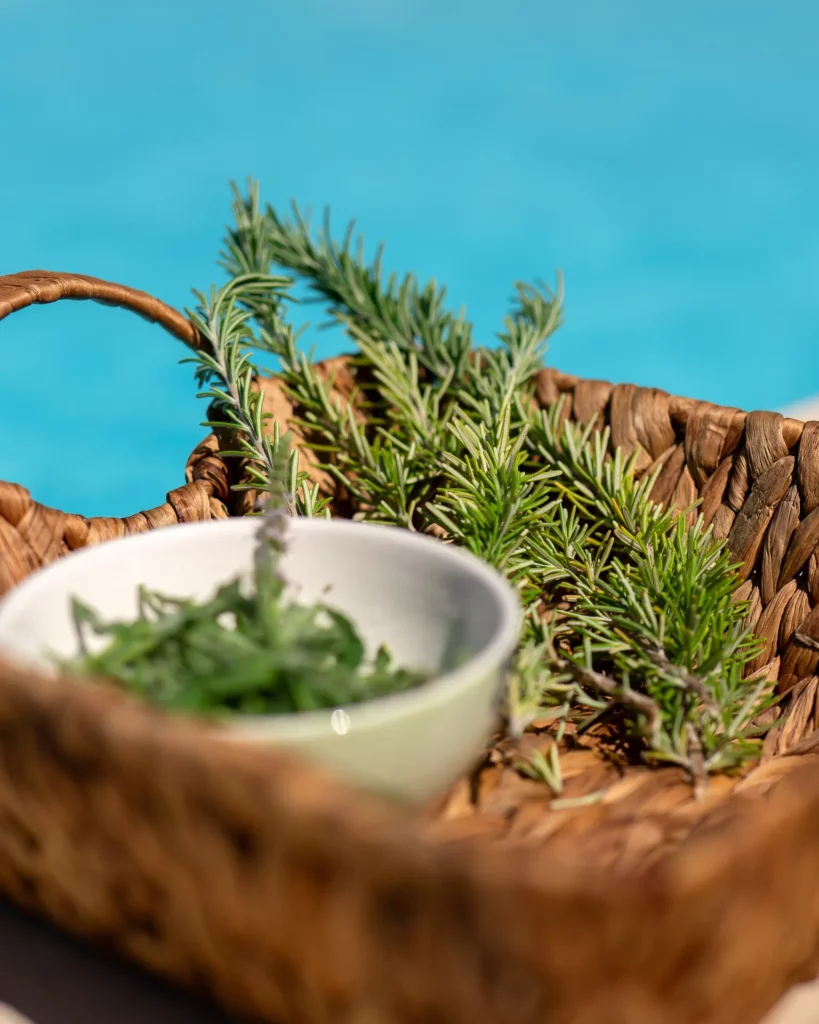 Mint Retreat Suites Halkidiki 104