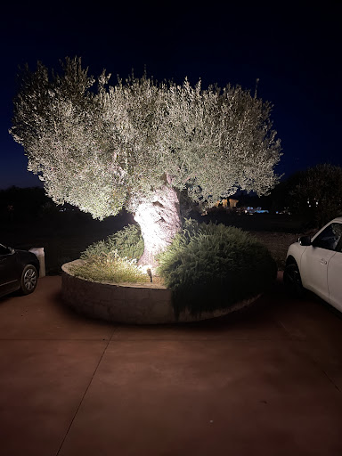 Mint Retreat Suites Halkidiki - Kalandra, Possidi - Greece - Ελληνικά 53 ChIJa2l7FuctphQRFGeXPnhjIas img bad4f0e3adeae2f2570e06bfe40c7e97