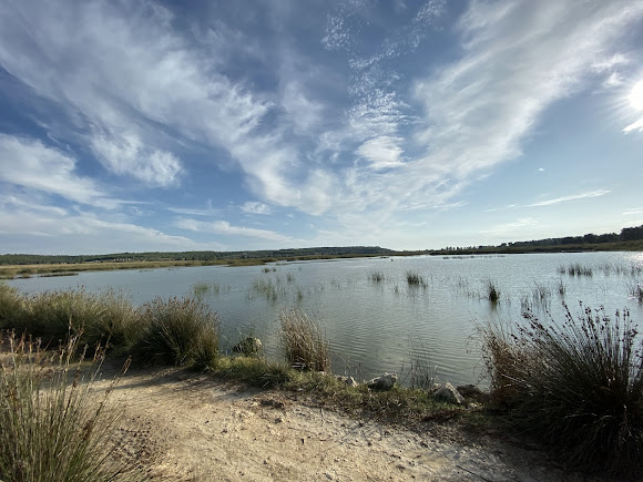 Exciting Things to Do in Halkidiki 60 Wetlands of Nea Fokea