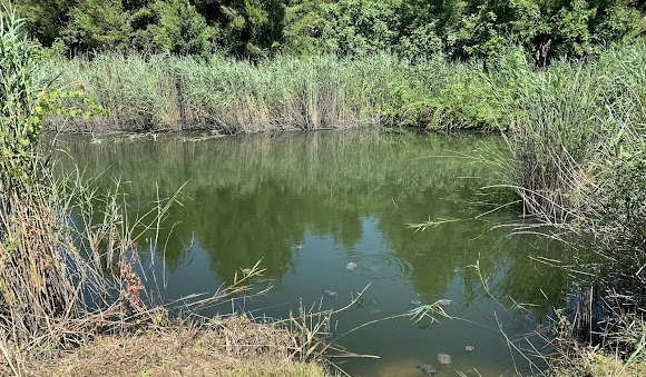 Exciting Things to Do in Halkidiki 56 lake-mavrobara