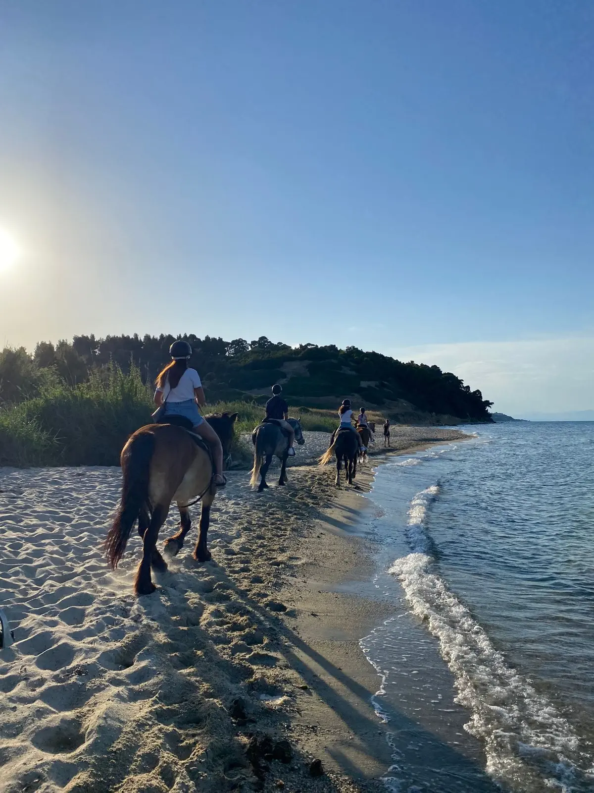 Aufregende Aktivitäten auf Chalkidiki 26 horse1