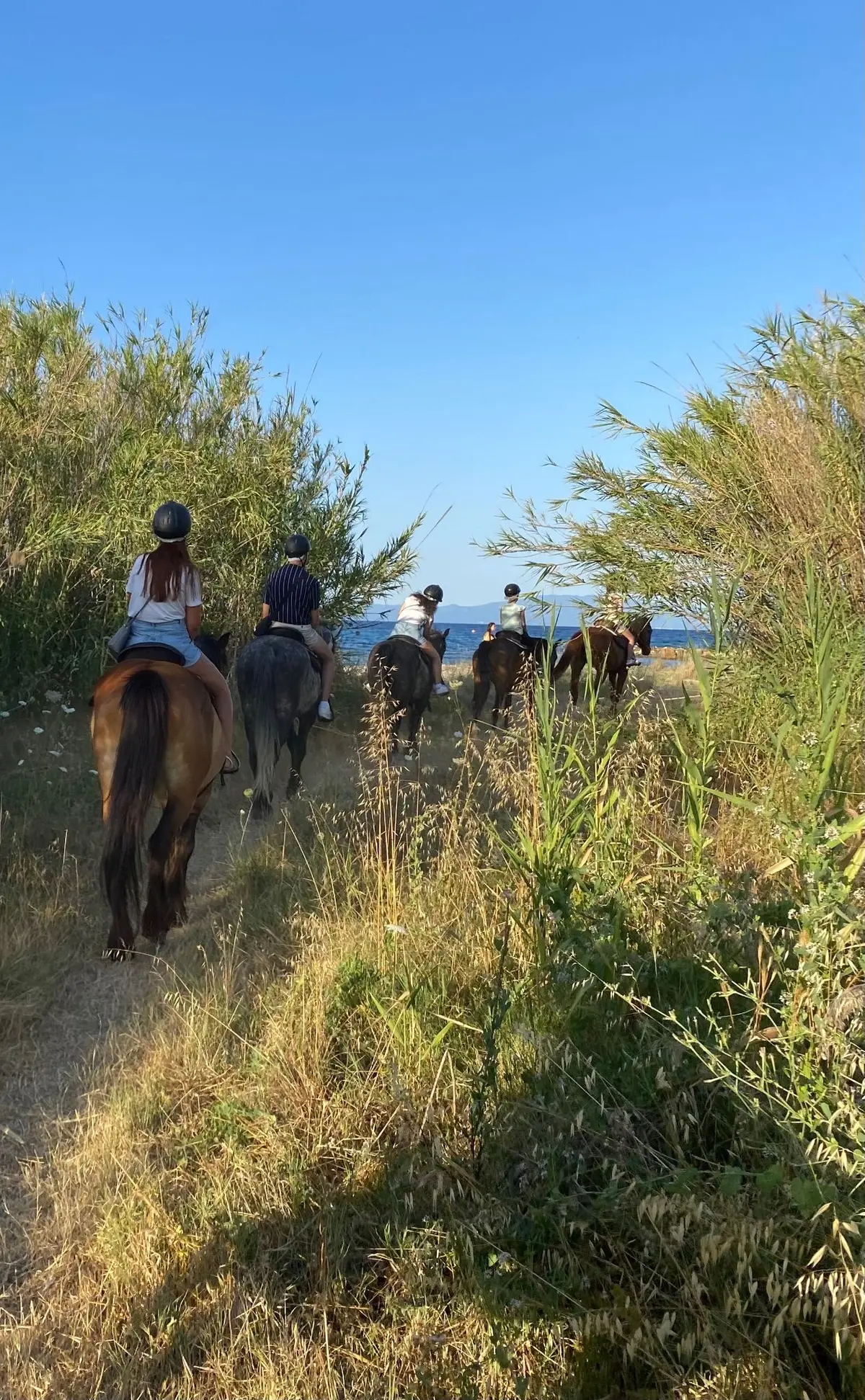Aufregende Aktivitäten auf Chalkidiki 25 horse2