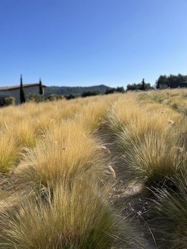 Mint Retreat Suites Halkidiki - Kalandra, Possidi - Greece 54 Photo from customer review